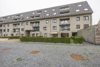 025 Lotus   0003   park. 3