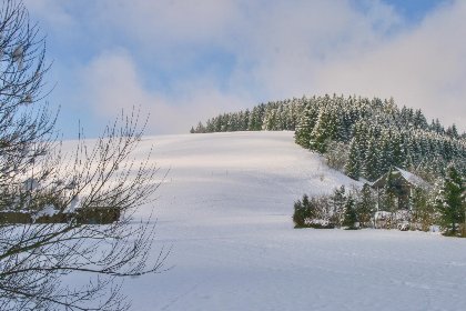 020 Alte Muehle