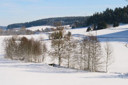 023 Alte Muehle