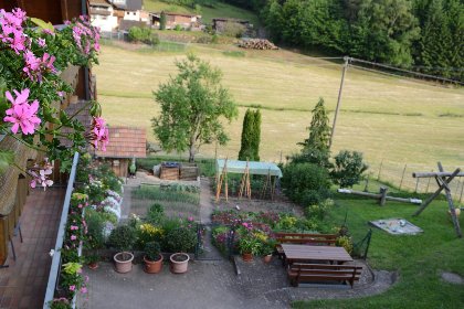 009 Schwarzwald