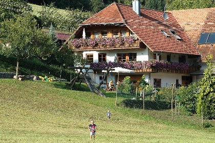 010 Schwarzwald