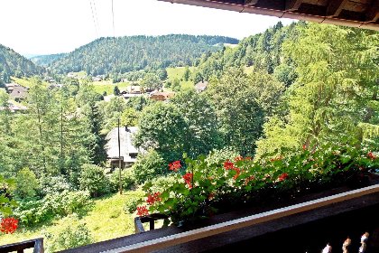 002 Fichtenhof am Wasserfall