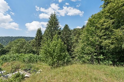 034 Fichtenhof am Wasserfall