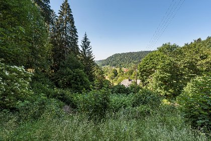 035 Fichtenhof am Wasserfall