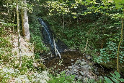 039 Fichtenhof am Wasserfall