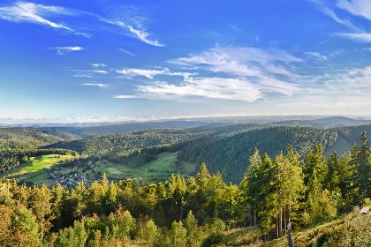 040 Fichtenhof am Wasserfall