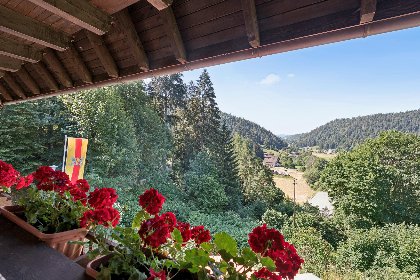 041 Fichtenhof am Wasserfall