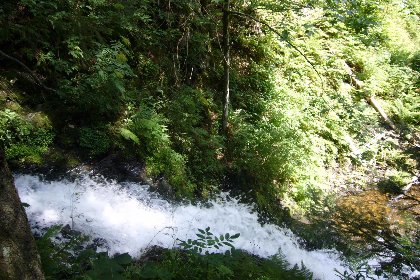 044 Fichtenhof am Wasserfall