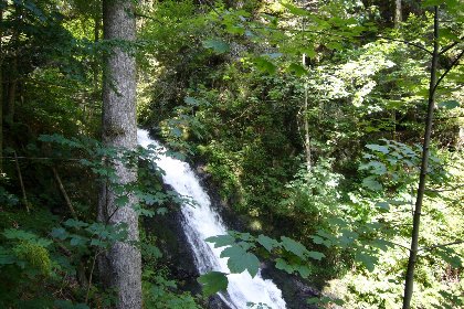 045 Fichtenhof am Wasserfall