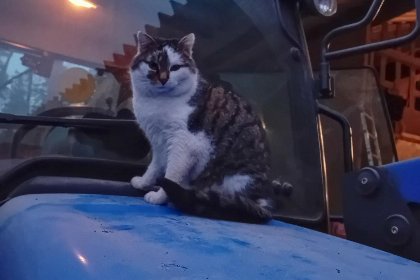 006 Waldacher Hof 006 Waldacher Hof