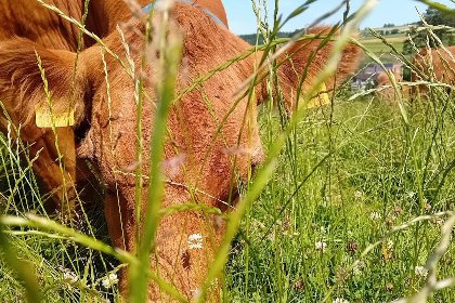 008 Waldacher Hof 008 Waldacher Hof