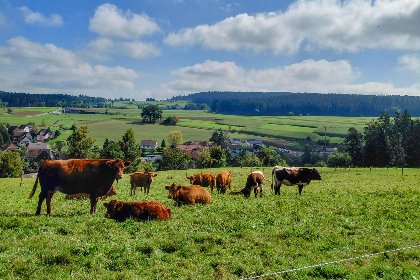 010 Waldacher Hof 010 Waldacher Hof