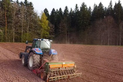 012 Waldacher Hof 012 Waldacher Hof