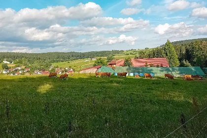 014 Waldacher Hof 014 Waldacher Hof