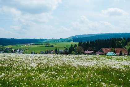 044 Waldacher Hof