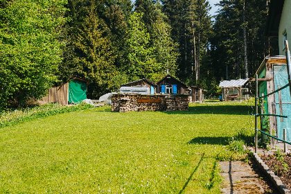 027 Am Wald