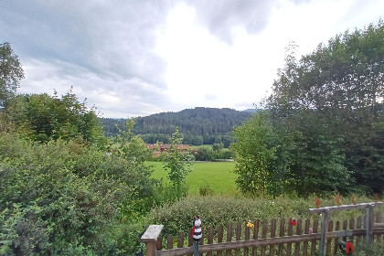 021 Im Zellertal I