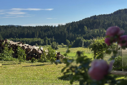035 Im Zellertal