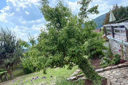 021 Hochfels