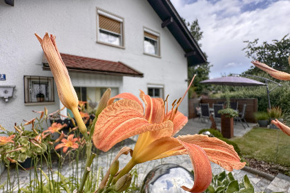 034 Bayerischer Wald