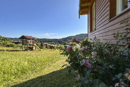 031 Im Zellertal