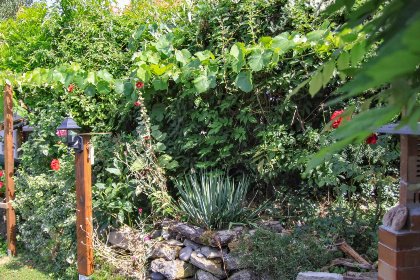 001 Bianca 001 Bianca