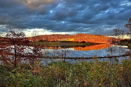 025 Feriendorf Seeblick   Tiny Nr 2