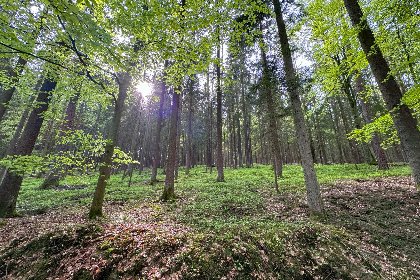 021 Feriendorf Seeblick   Tiny Nr 5