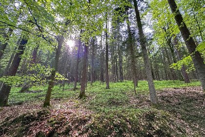 026 Feriendorf Seeblick   Tiny Nr 9