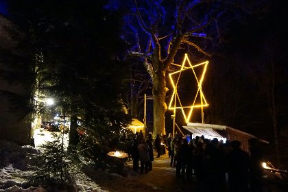 037 Zur Gradlhohe