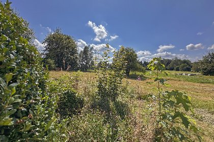 034 Zum wilden Jakob