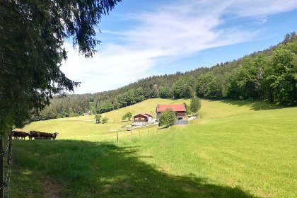 016 Berghof