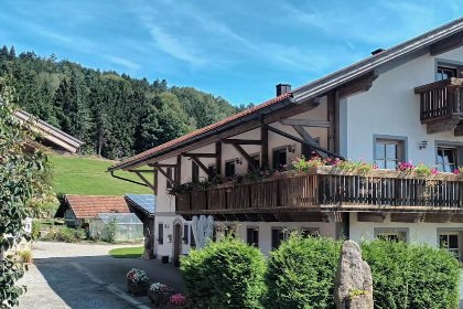 029 Holzfurtner 029 Holzfurtner