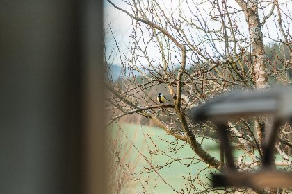 022 Im Bayerischen Wald