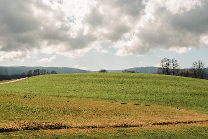 027 Im Bayerischen Wald