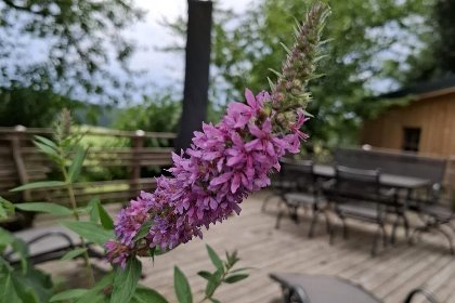 031 Bernhardsberg 031 Bernhardsberg