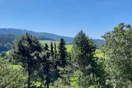 035 Bernhardsberg 035 Bernhardsberg