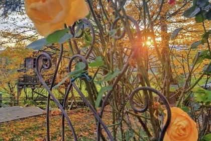 037 Bernhardsberg 037 Bernhardsberg