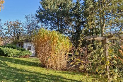 038 Bernhardsberg 038 Bernhardsberg