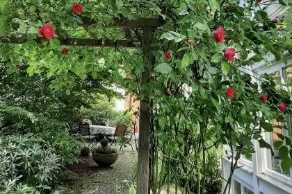 039 Bernhardsberg 039 Bernhardsberg