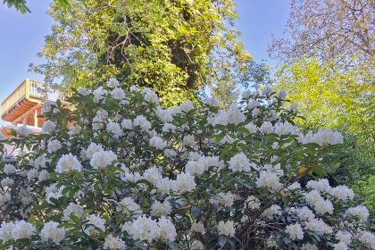 041 Bernhardsberg 041 Bernhardsberg