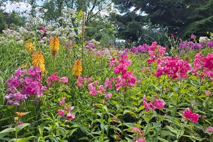 043 Bernhardsberg 043 Bernhardsberg