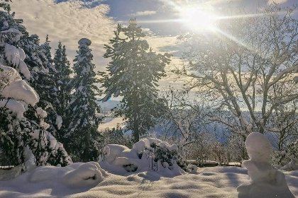 046 Bernhardsberg 046 Bernhardsberg