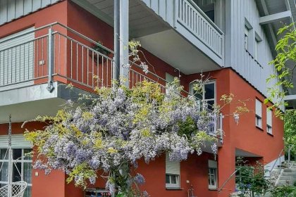 047 Bernhardsberg 047 Bernhardsberg