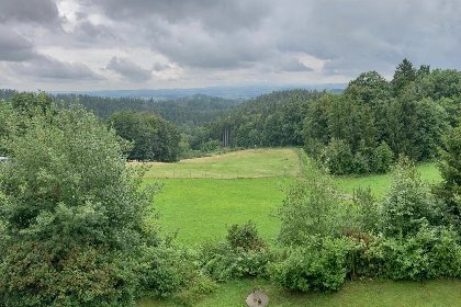 010 Traudi