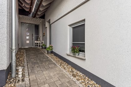019 Eulennest