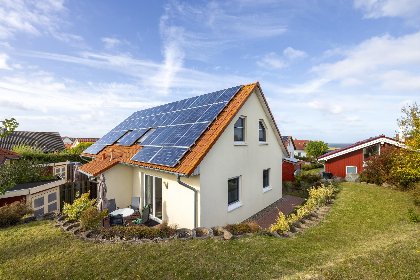 000 Stranddistel links mit Sauna 000 Stranddistel links mit Sauna