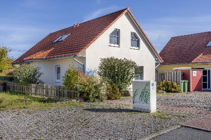 001 Stranddistel links mit Sauna 001 Stranddistel links mit Sauna