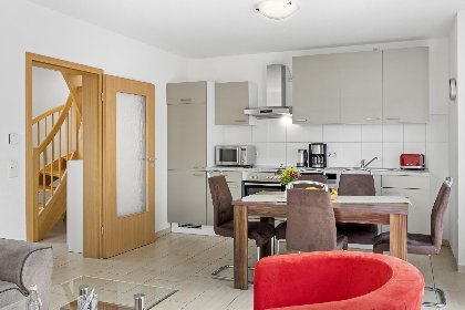 002 Stranddistel rechts 002 Stranddistel rechts