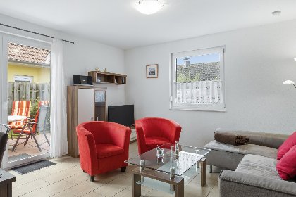 004 Stranddistel rechts 004 Stranddistel rechts